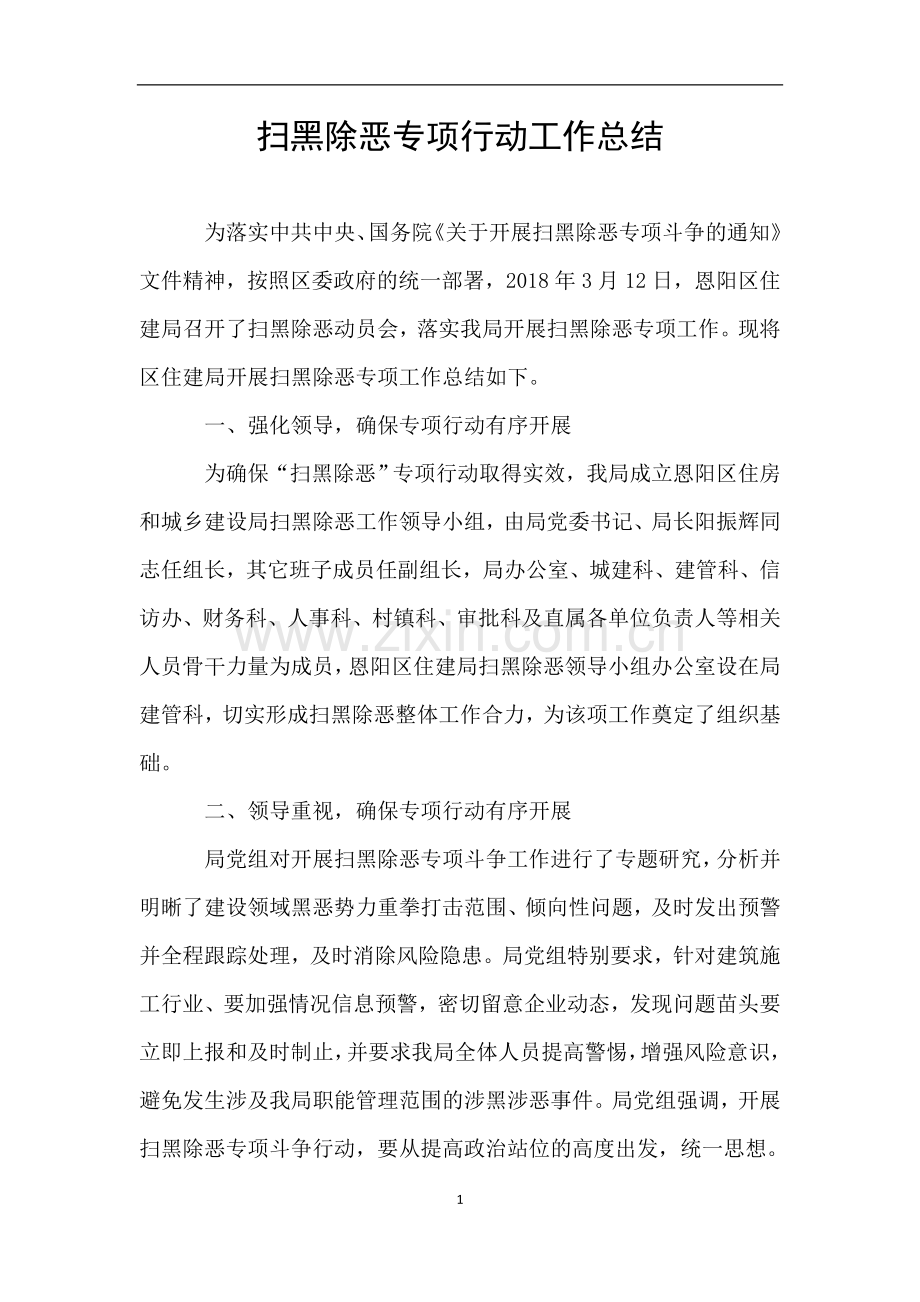 扫黑除恶专项行动工作总结.doc_第1页