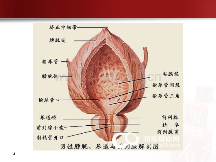 医学泌尿科膀胱肿瘤病人的护理查房PPT.ppt_第2页