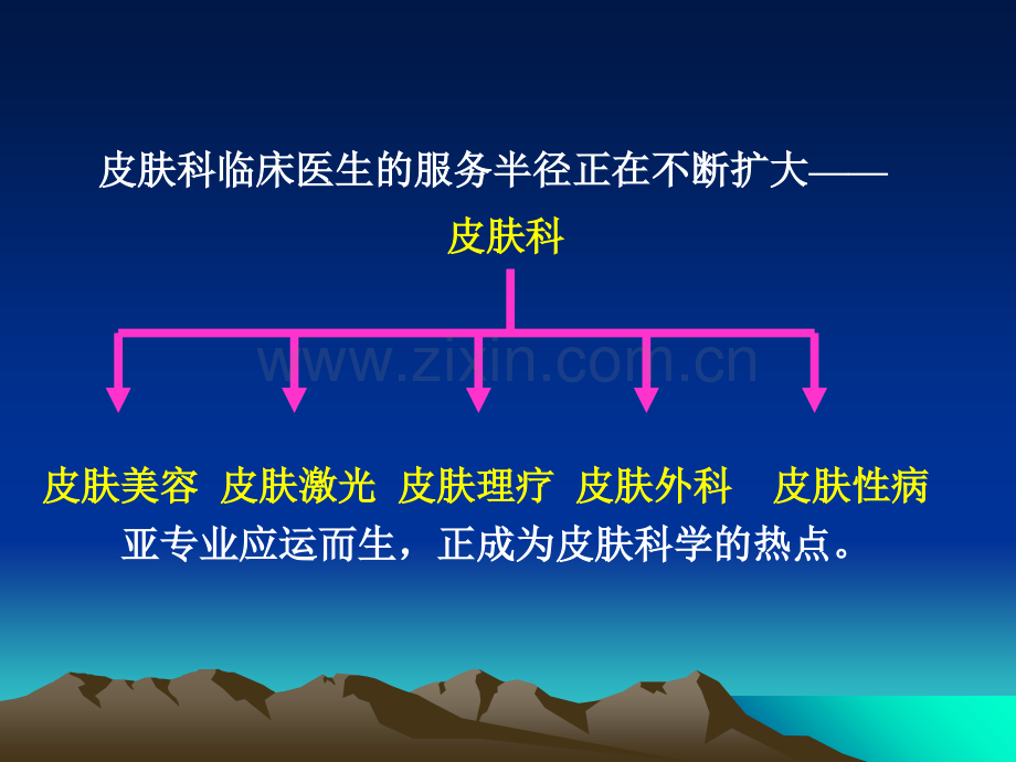 医学皮肤的结构和功能ppt.ppt_第3页