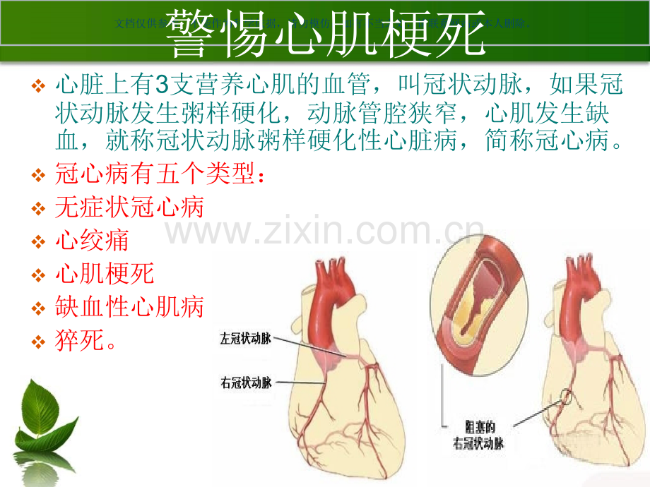 老年人健康教育知识讲座课件.ppt_第3页