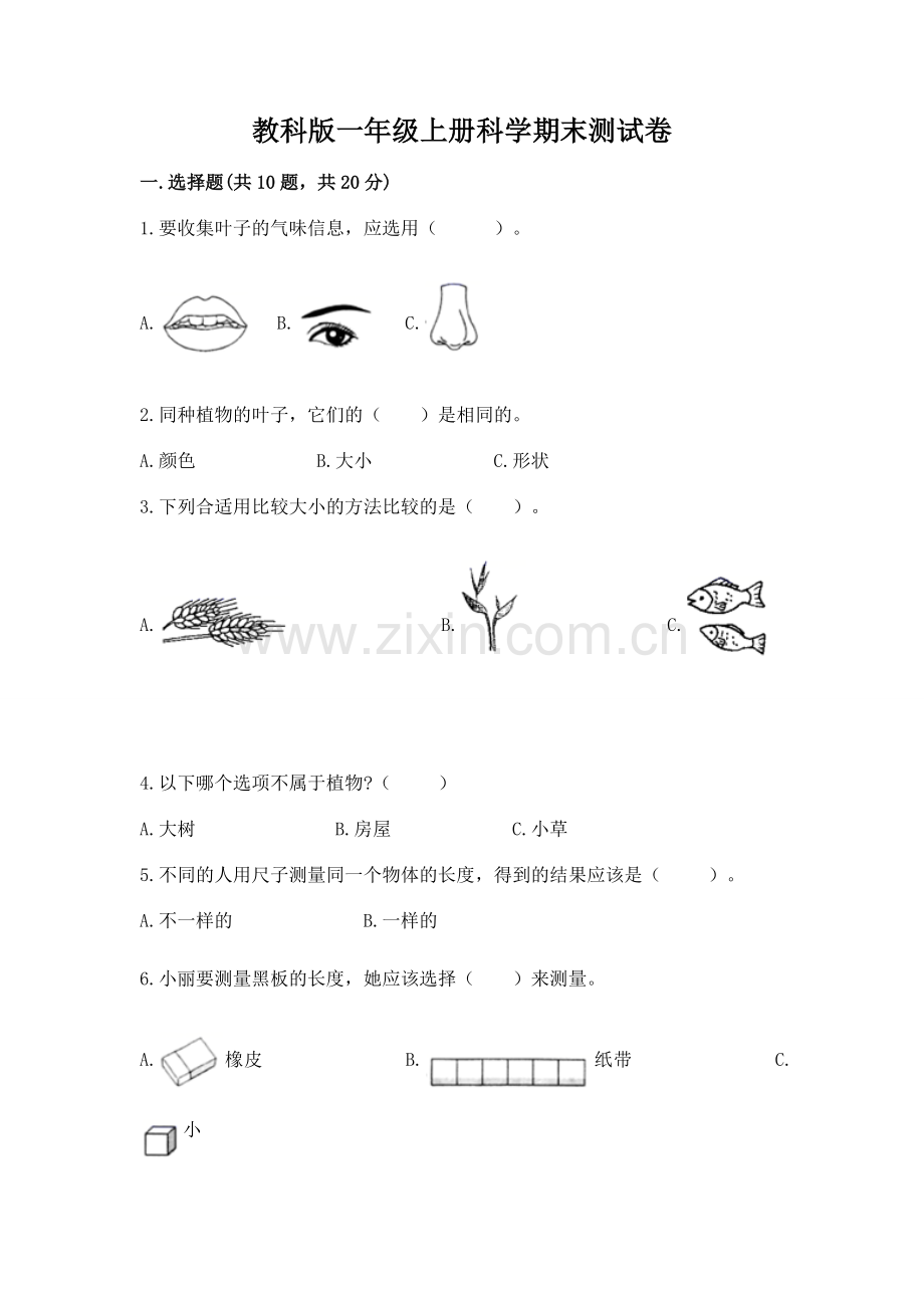 教科版一年级上册科学期末测试卷及答案(历年真题).docx_第1页