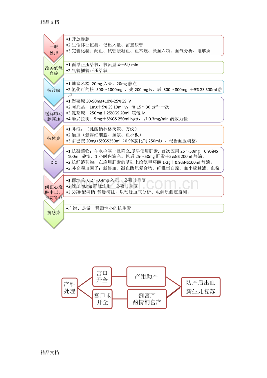 羊水栓塞抢救预案及流程.docx_第3页