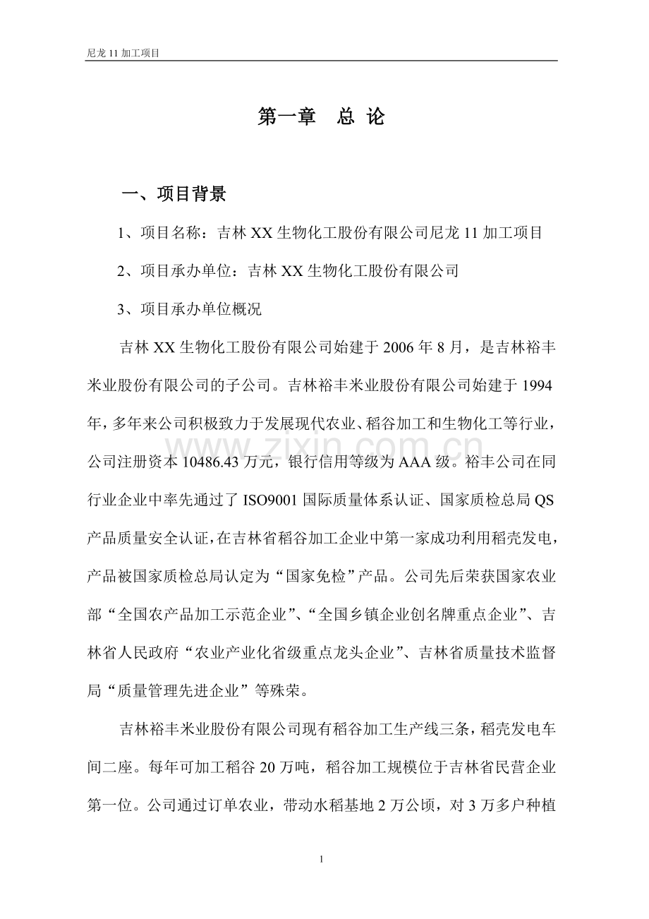 尼龙11加工项目可行性研究报告.doc_第1页