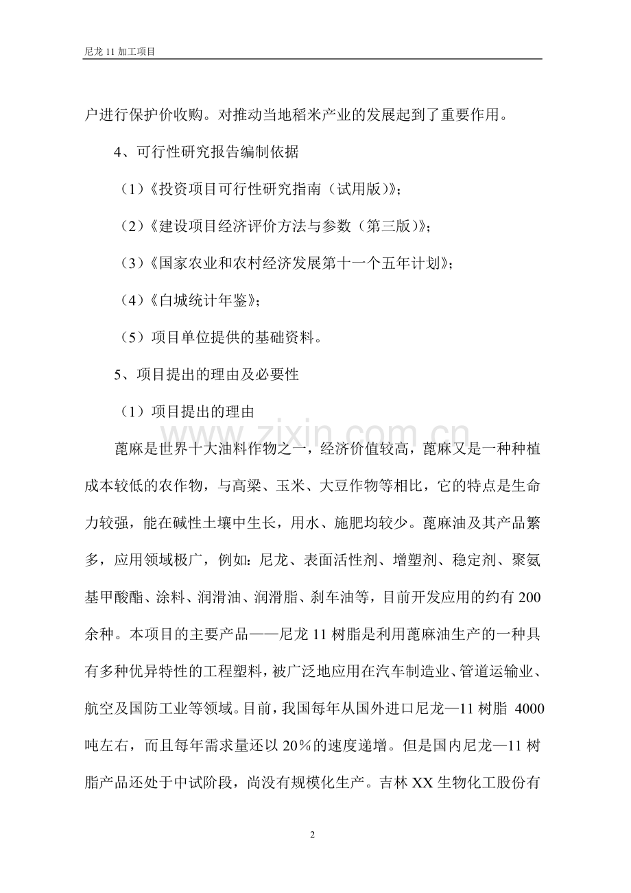 尼龙11加工项目可行性研究报告.doc_第2页