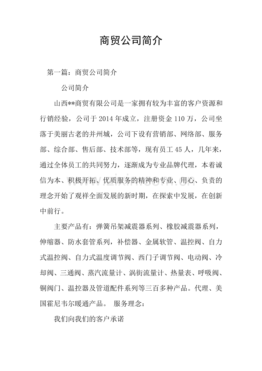 商贸公司简介.doc_第1页