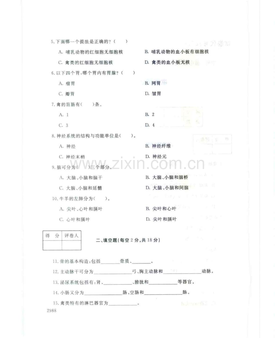 家畜解剖基础127--中央电大开放专科期末试题卷.doc_第2页