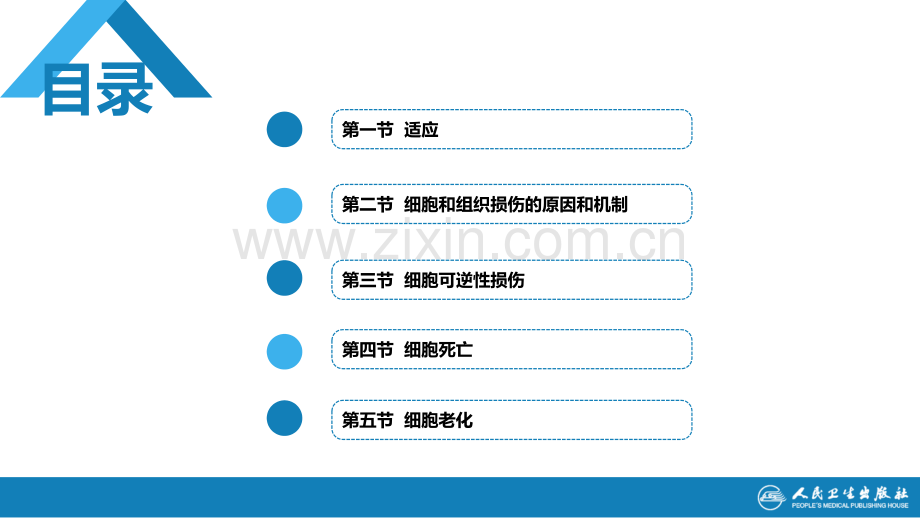 医学细胞和组织的适应与损伤PPT.pptx_第2页