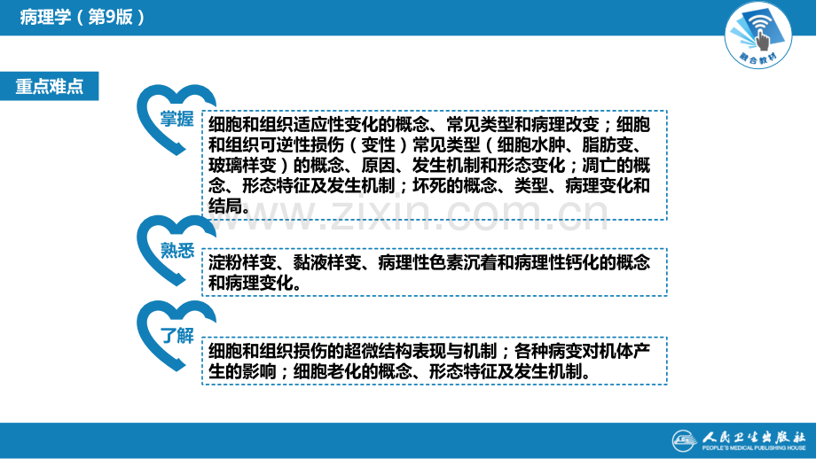 医学细胞和组织的适应与损伤PPT.pptx_第3页