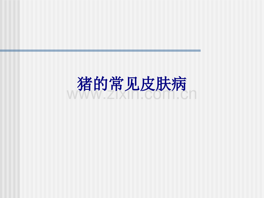 医学猪的常见皮肤病PPT.ppt_第1页