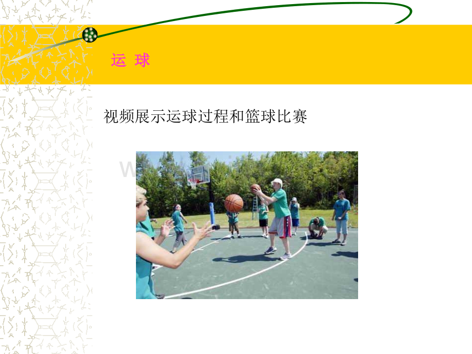 小学体育课件《篮球运球》ppt.ppt_第3页