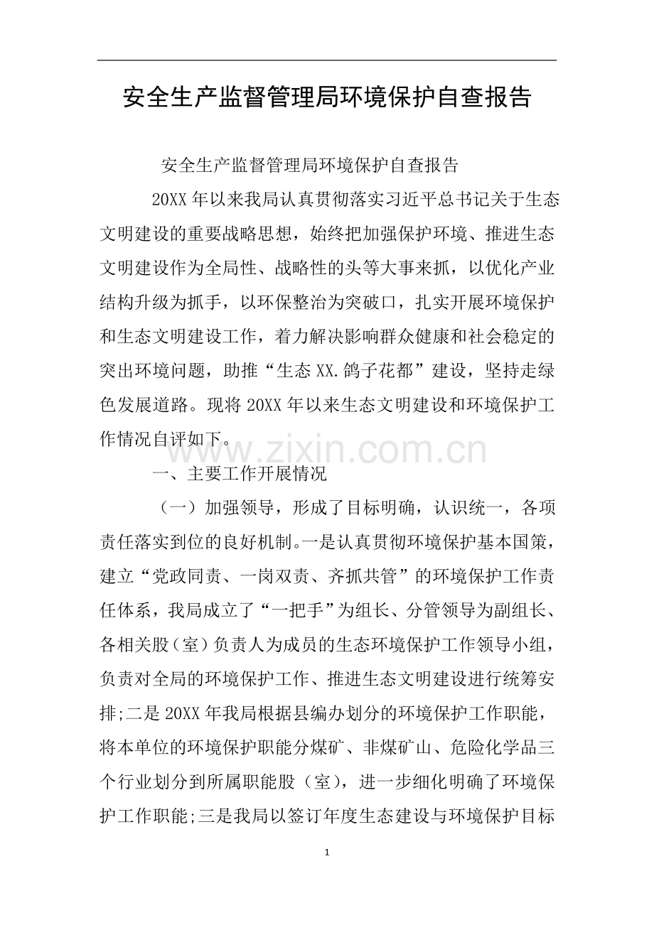 安全生产监督管理局环境保护自查报告.doc_第1页