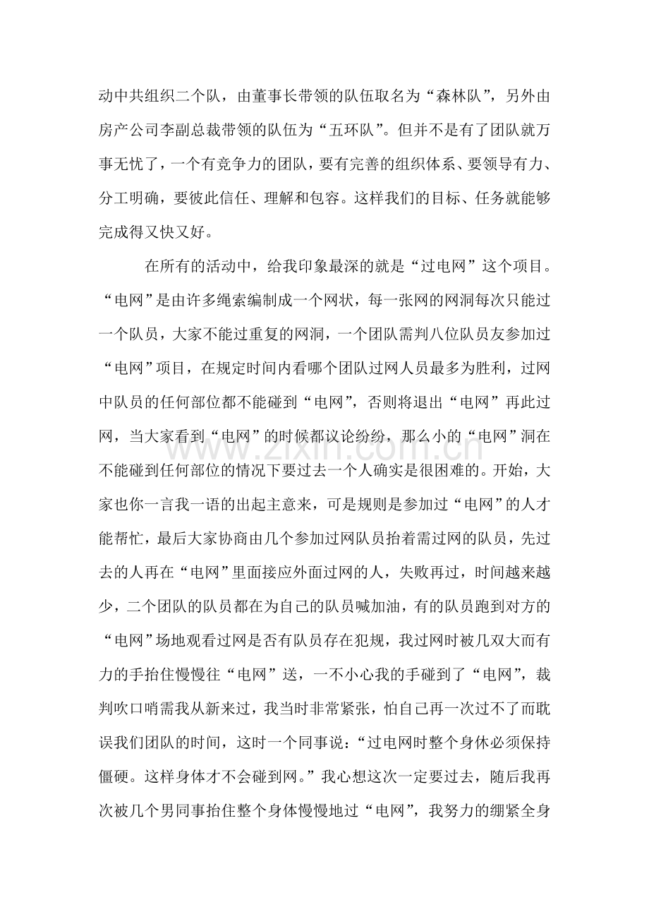 关于团建活动的总结团建总结.doc_第3页