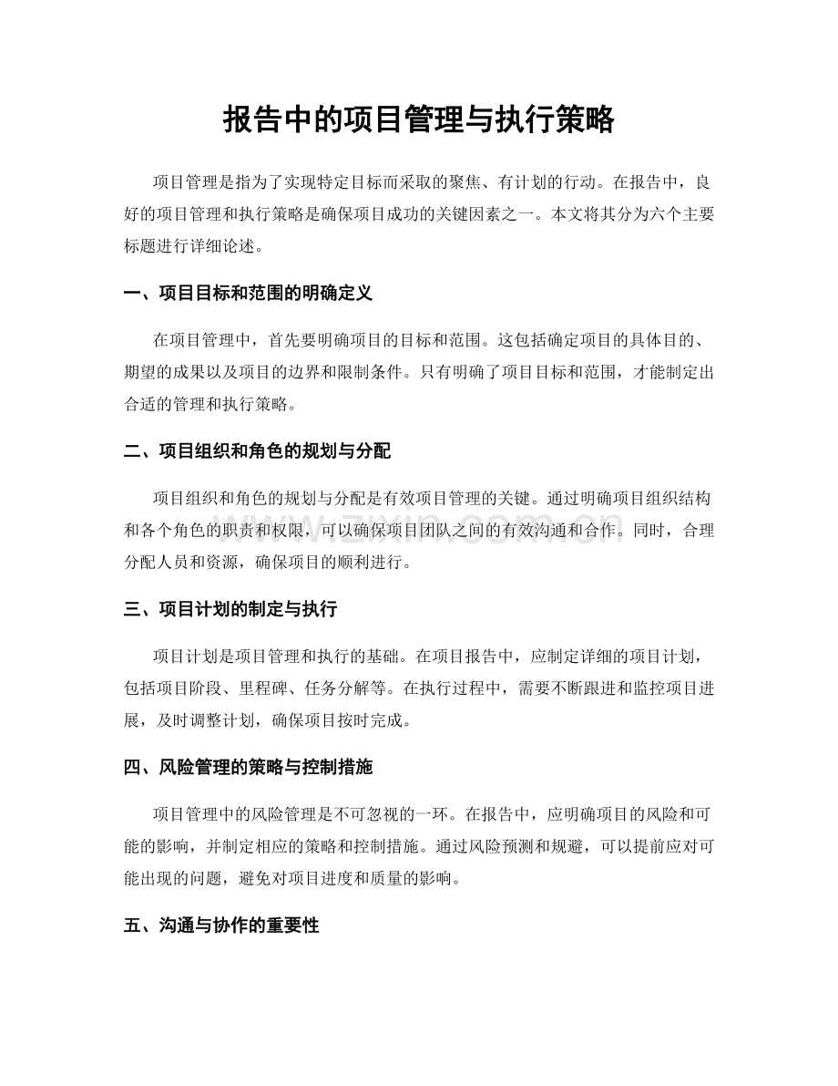 报告中的项目管理与执行策略.docx_第1页