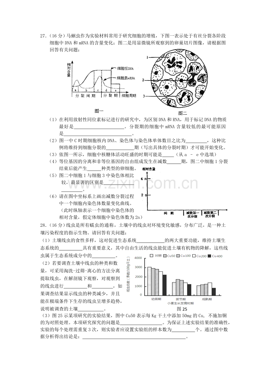 高三生物模拟试题新人教版.doc_第3页