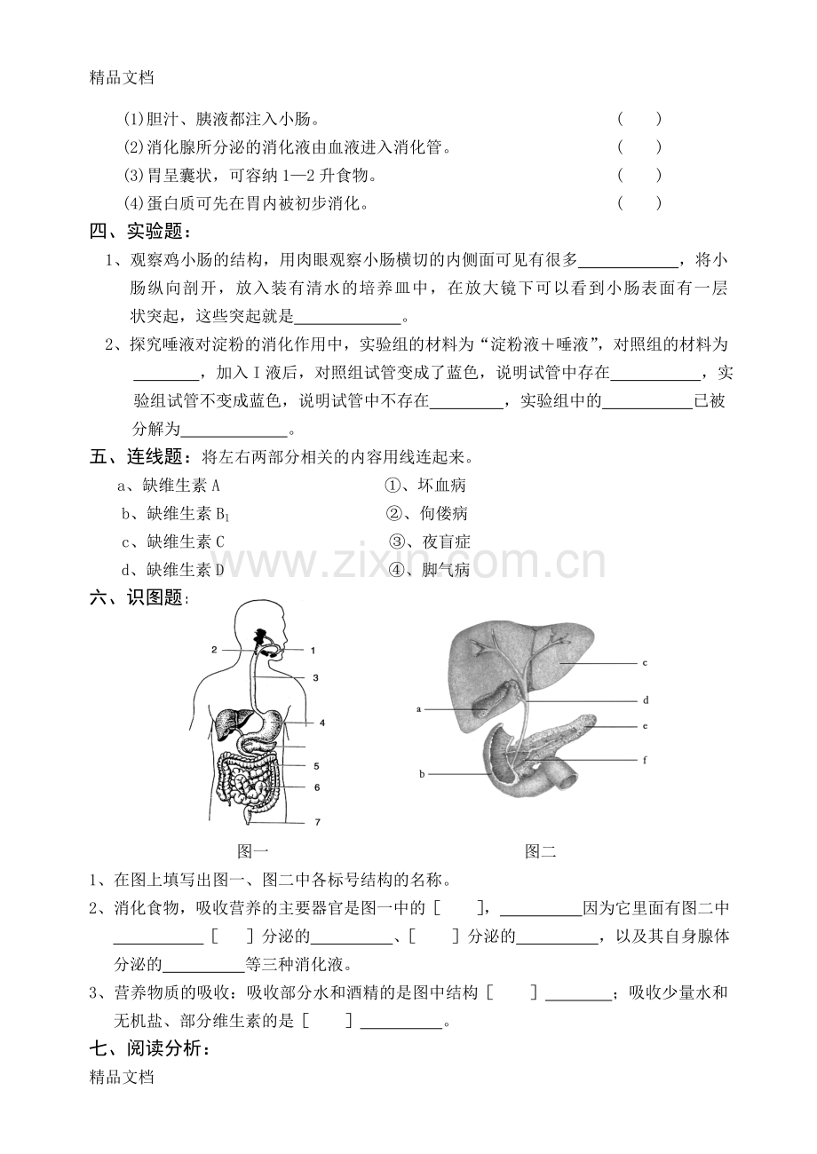 北师大版七年级下册生物全套试.doc_第3页