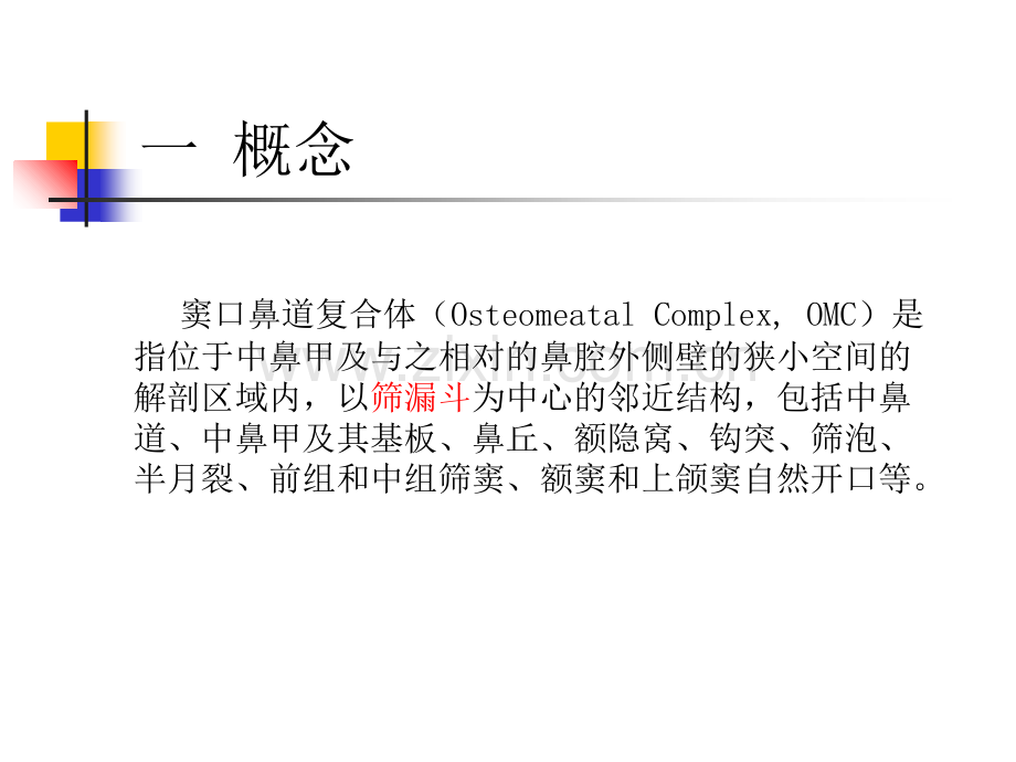 医学窦口鼻道复合体影像解剖和临床意义PPT.ppt_第3页