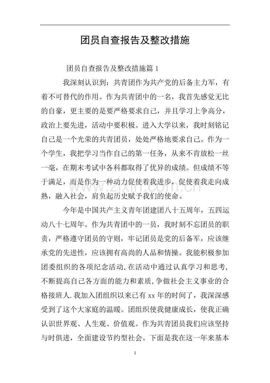 团员自查报告及整改措施.doc_第1页