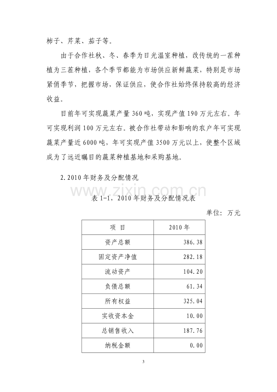 孔家蔬菜项目可行性研究报告.doc_第3页