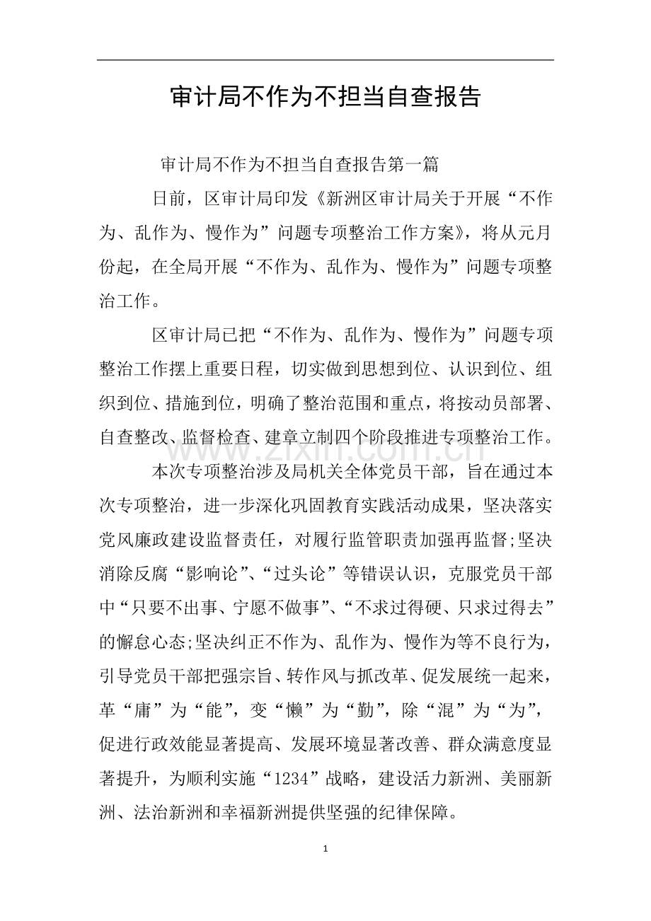 审计局不作为不担当自查报告.doc_第1页