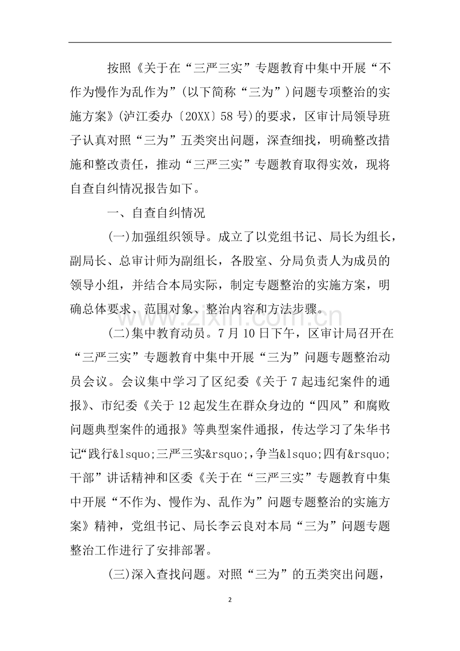 审计局不作为不担当自查报告.doc_第2页