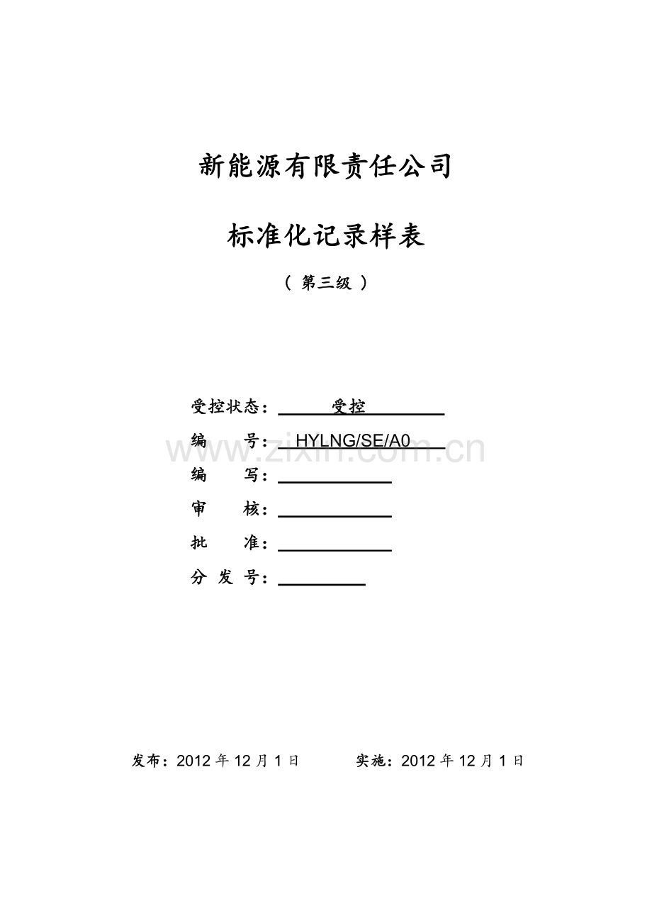 安全生产标准化记录样表.doc_第1页