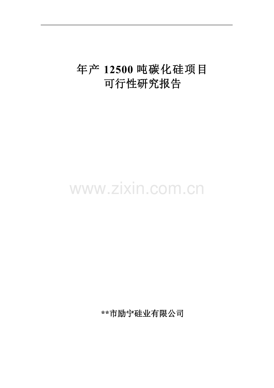 年产12500吨碳化硅项目可行性研究报告(优秀可研).doc_第1页