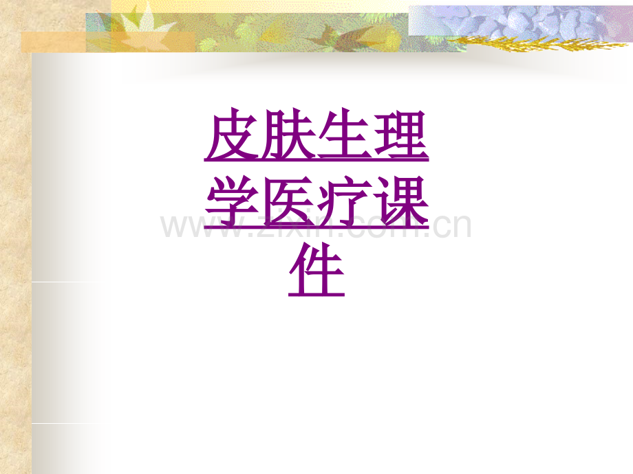 医学皮肤生理学宣教ppt.ppt_第1页