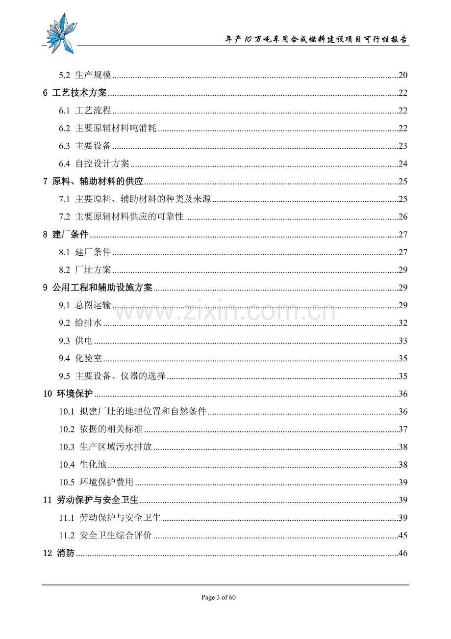 年产10万吨车用合成燃料项目申请立项可研报告.doc_第3页