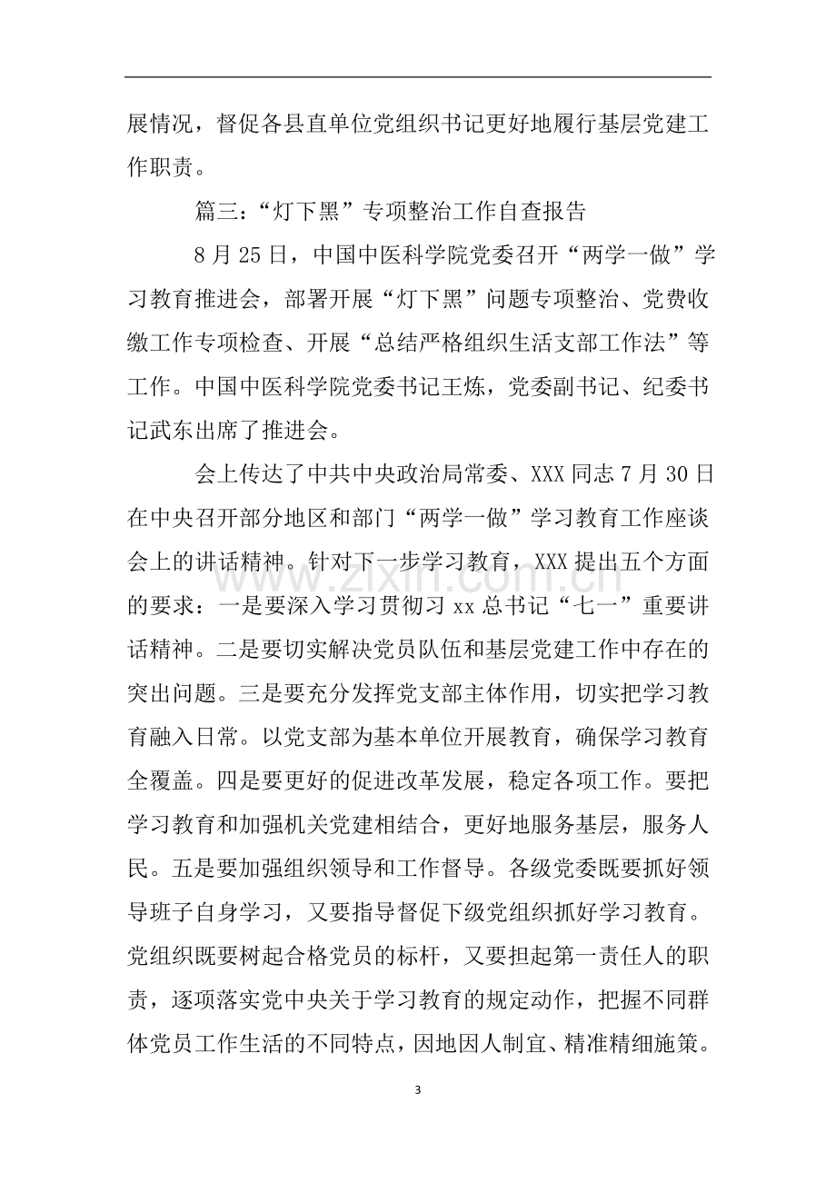 灯下黑专项整治工作自查报告.doc_第3页