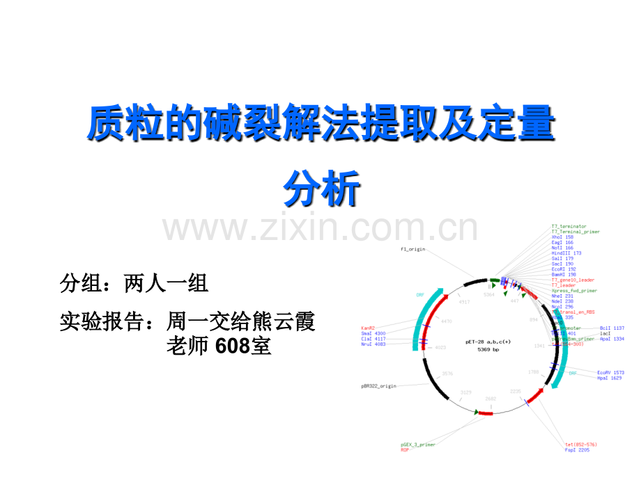 质粒的碱裂解法提取及定量分析.ppt_第1页