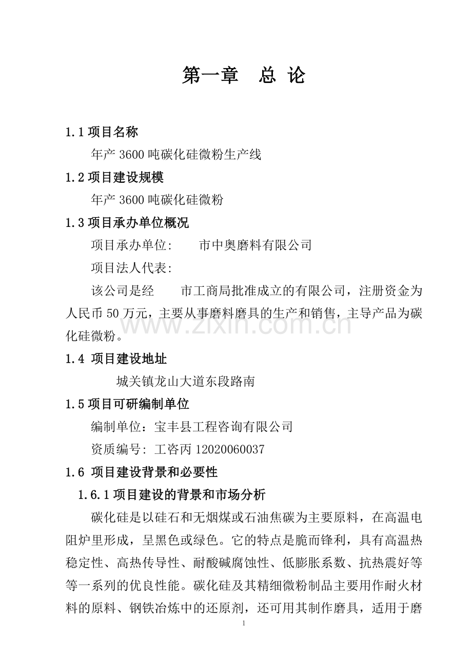 年产3600吨碳化硅微粉生产线项目建设可行性研究报告-(3).doc_第1页