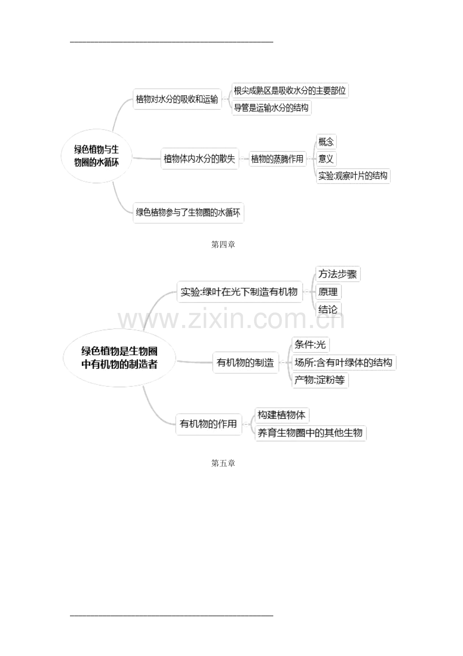 七年级上册生物思维导图.doc_第3页