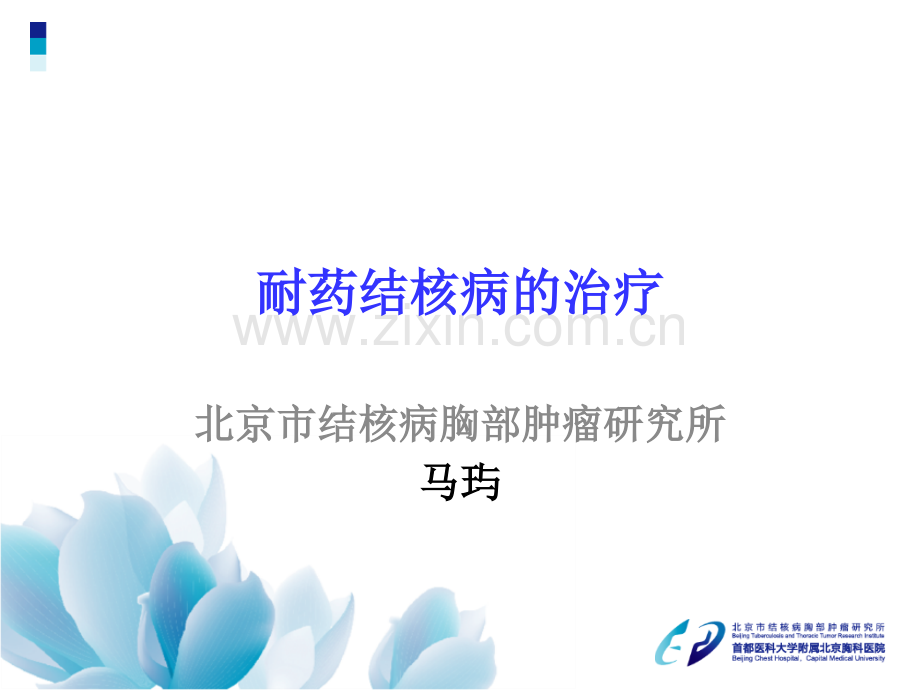 耐药结核病的治疗进展-.ppt_第1页