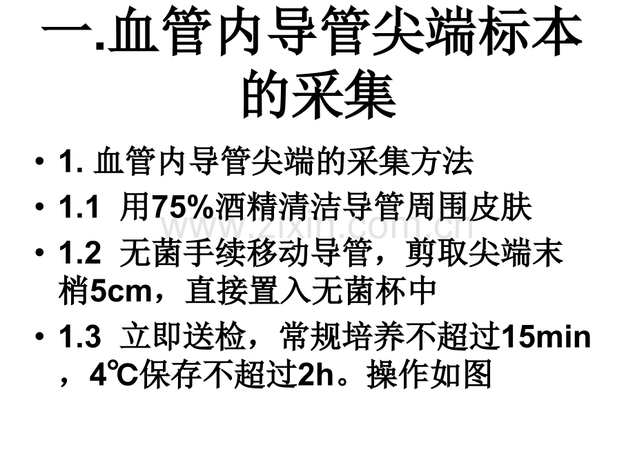 医学导管标本的采集与检验单规范PPT.ppt_第2页