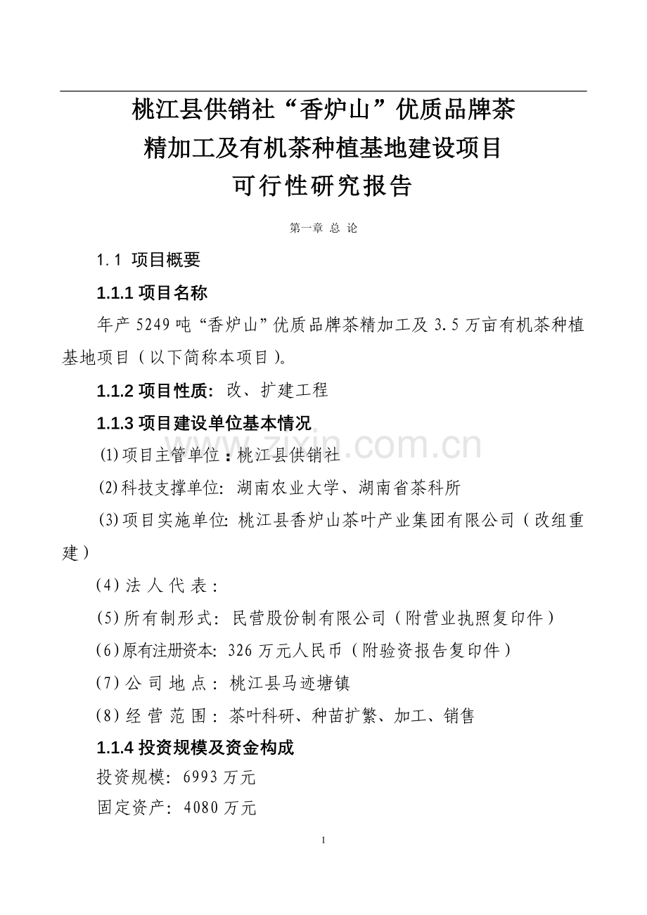 湖南某茶厂茶叶项目投资建设可行性分析论证研究报告.doc_第1页