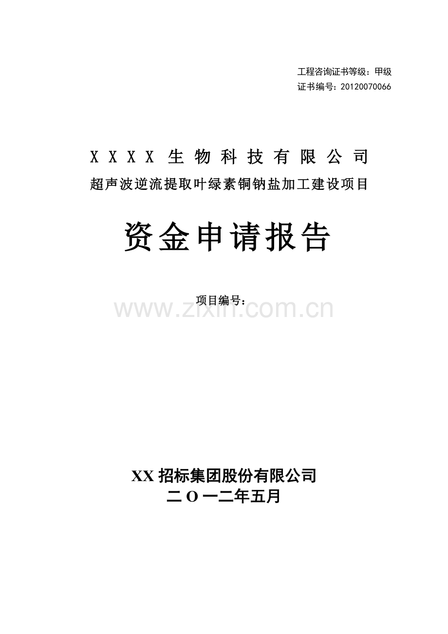 超声波逆流提取叶绿素铜钠盐加工新建项目建设可行性研究报告.doc_第1页