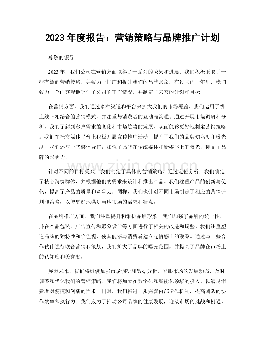 2023年度报告：营销策略与品牌推广计划.docx_第1页