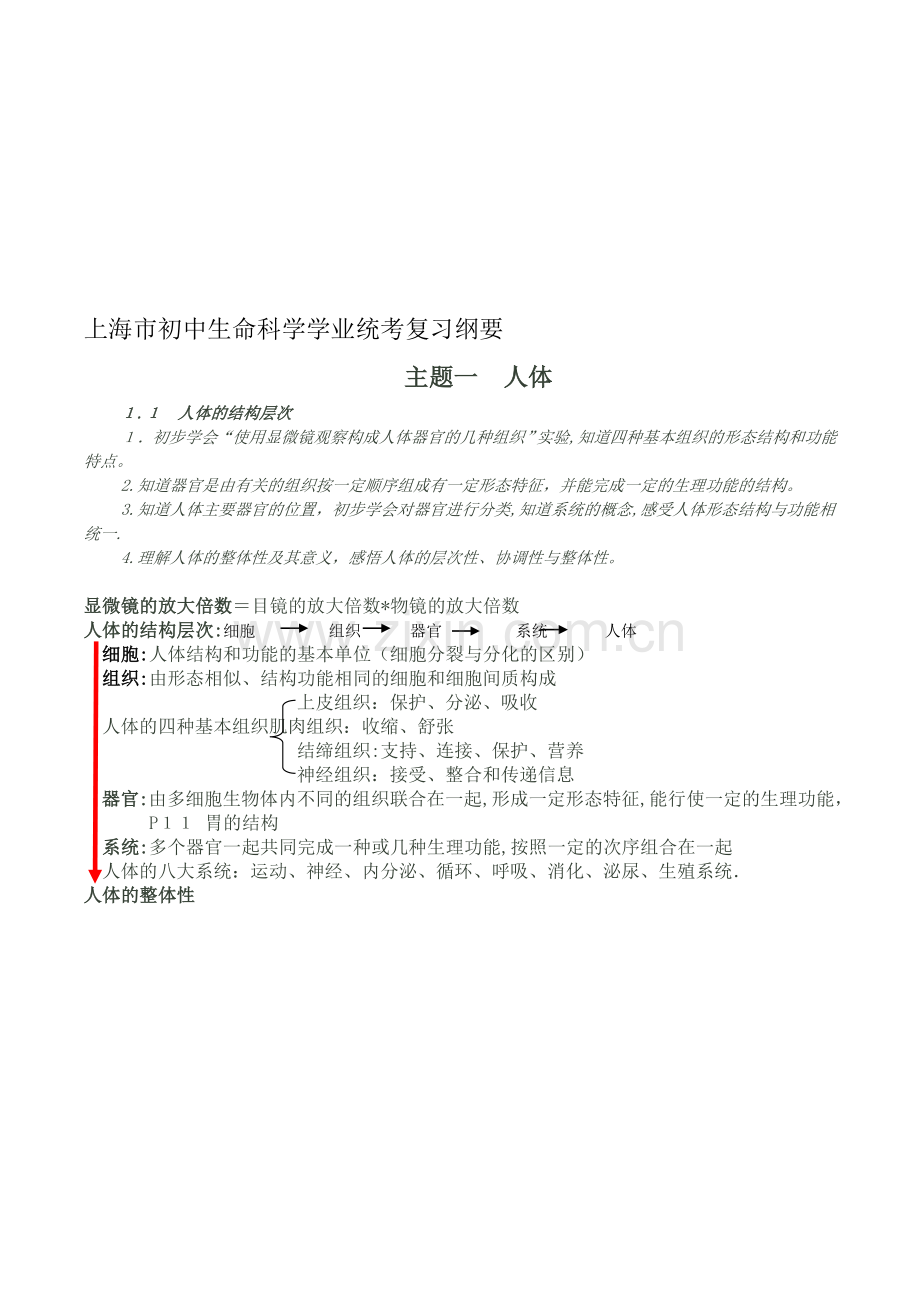 上海初中生命科学考试学业考试复习纲要..doc_第1页