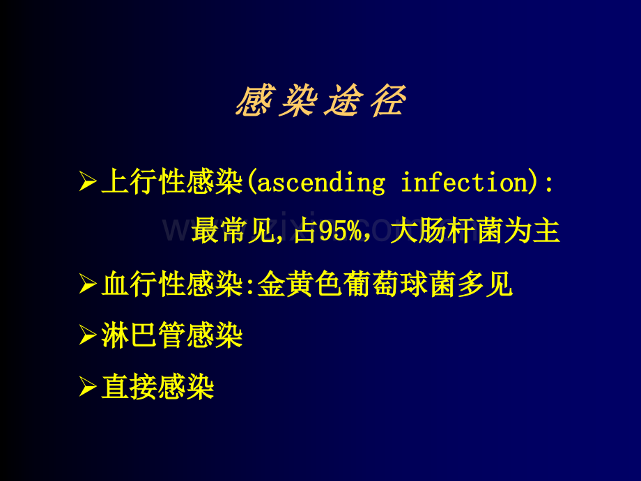 医学课件尿路感染讲解.ppt_第3页