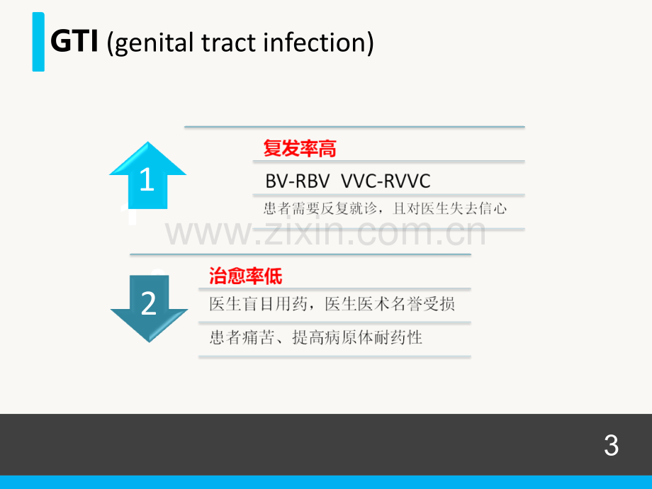 医学女性下生殖道感染的诊断技术妇科会PPT.ppt_第3页