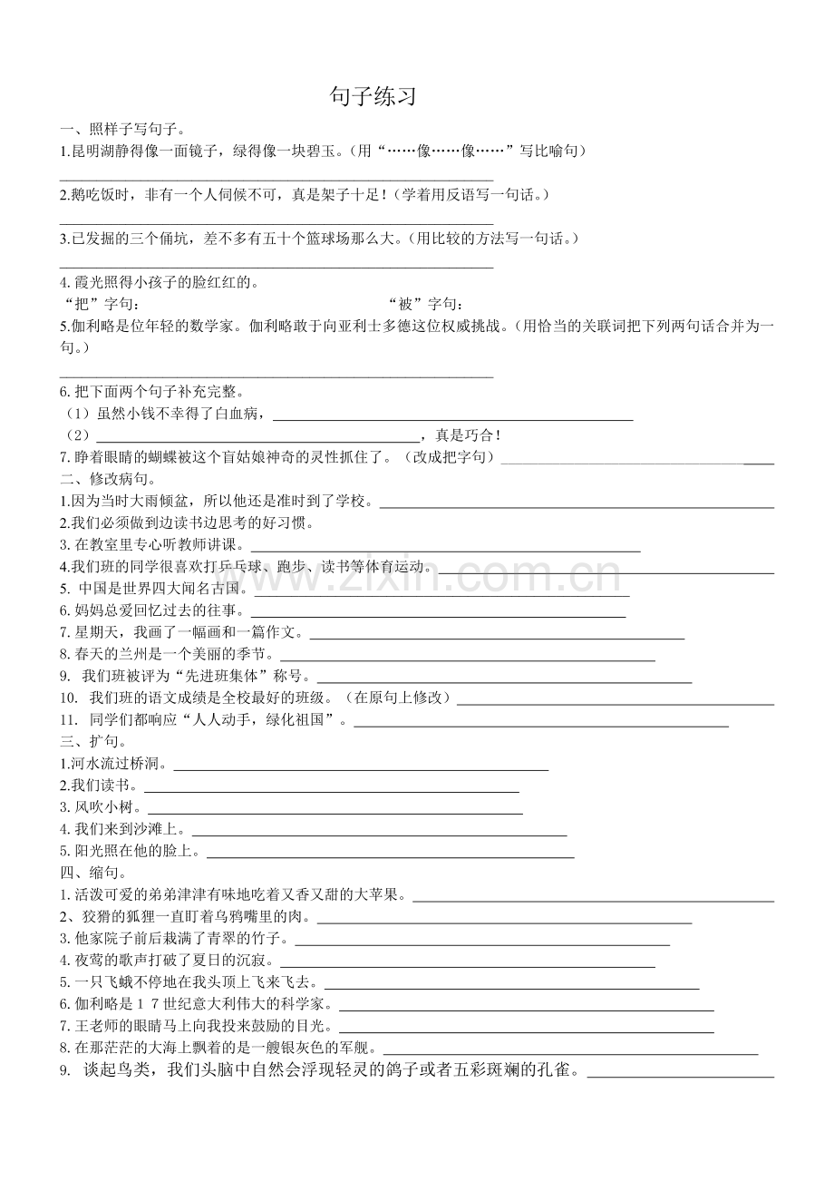 四年级语文句子练习(2).doc_第1页