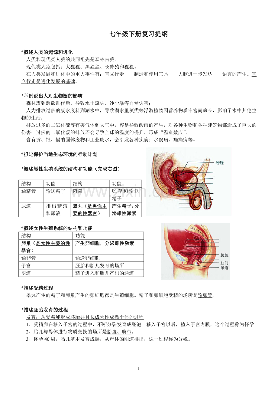 人教版生物七年级下册复习提纲.doc_第1页