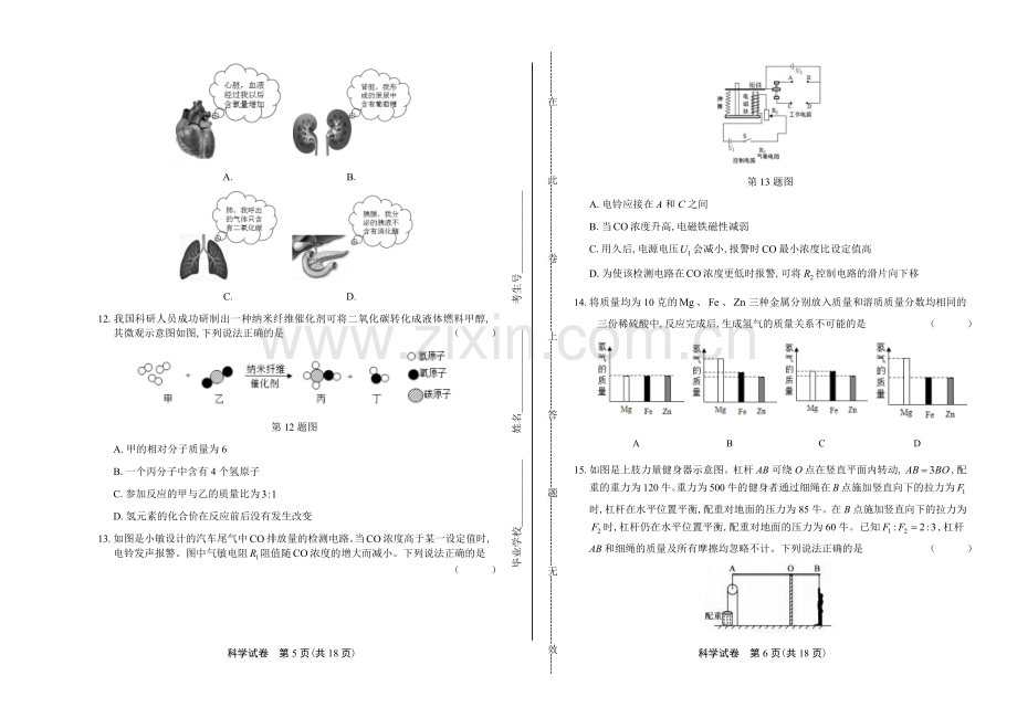 2019年浙江省绍兴市中考科学试卷.doc_第3页