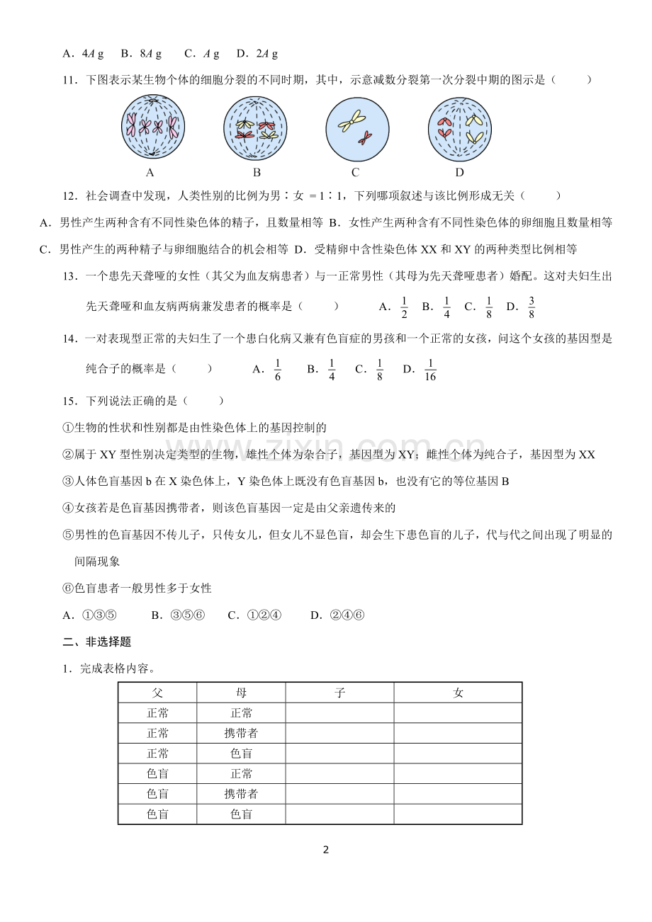 高中生物必修2第二章测试题.doc_第2页