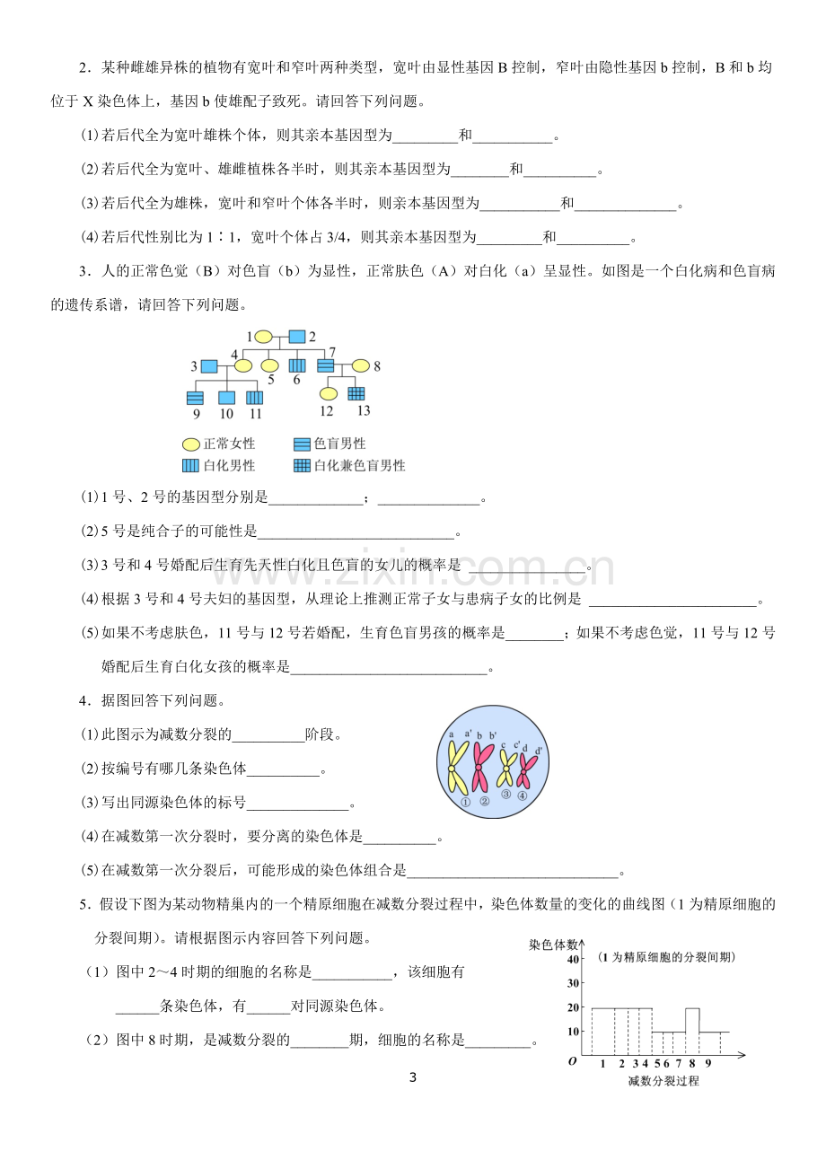 高中生物必修2第二章测试题.doc_第3页