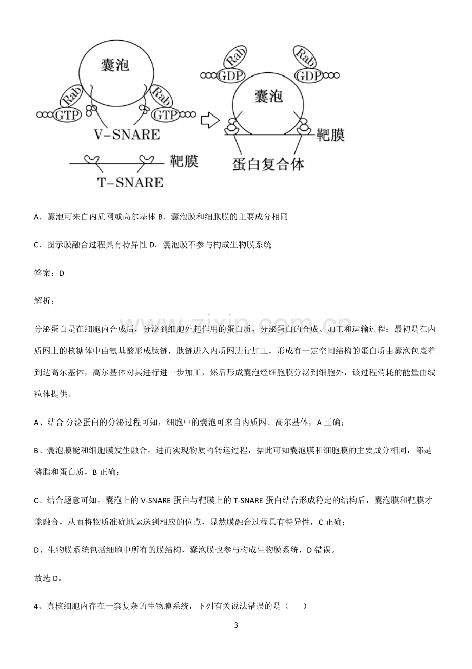 人教版2022年高中生物第三章细胞的基本构成重难点归纳.pdf_第3页