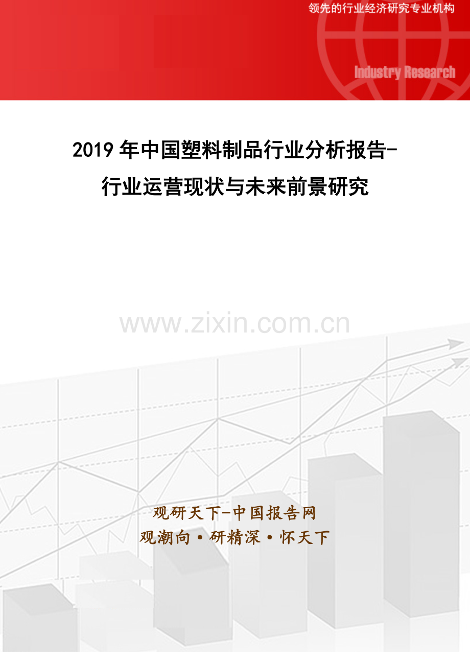 2019年中国塑料制品行业分析报告-行业运营现状与未来前景研究.doc_第1页