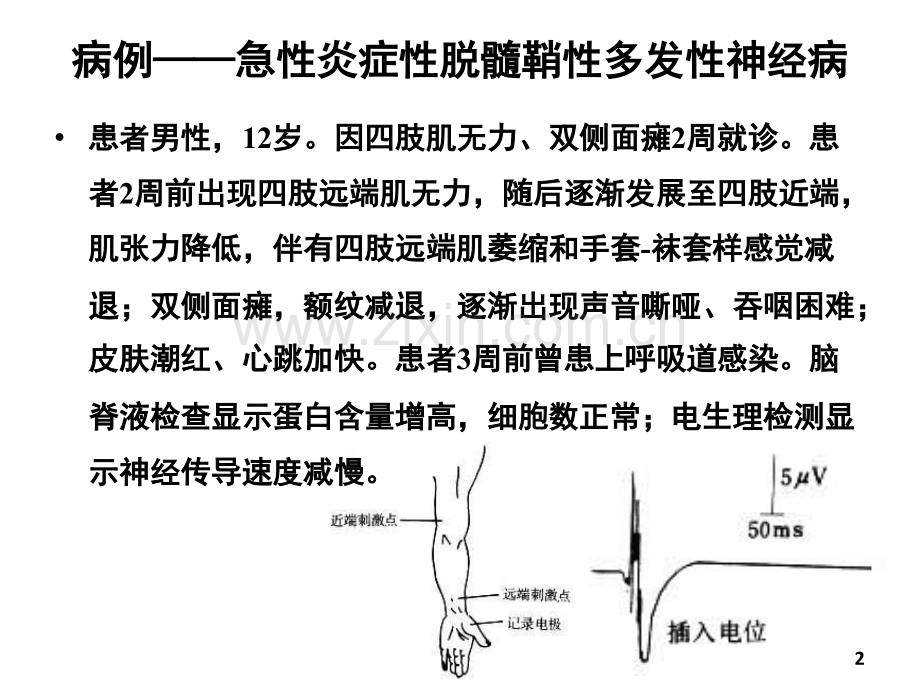 生理学课件-第09章神经系统的功能-临床医学-人卫第八版.ppt_第2页