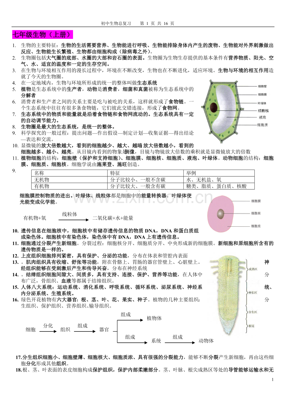 初中生物总复习提纲{带彩图}新人教版.doc_第1页