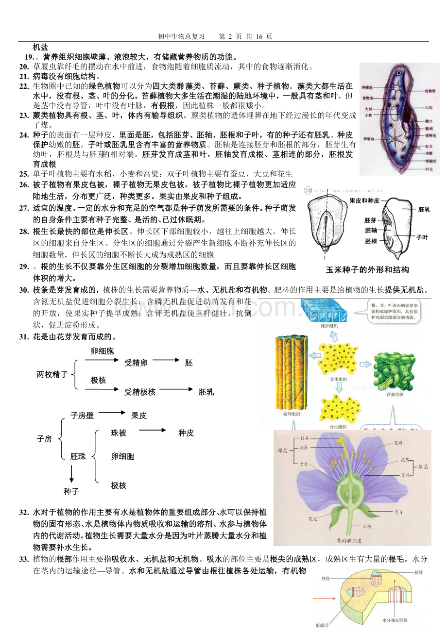 初中生物总复习提纲{带彩图}新人教版.doc_第2页